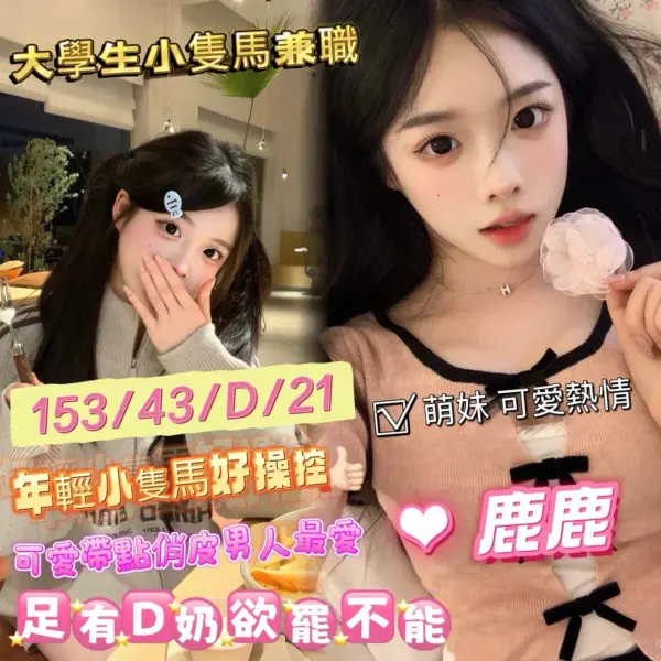 雲林定點茶-鹿鹿