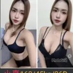 南投定點茶-小真