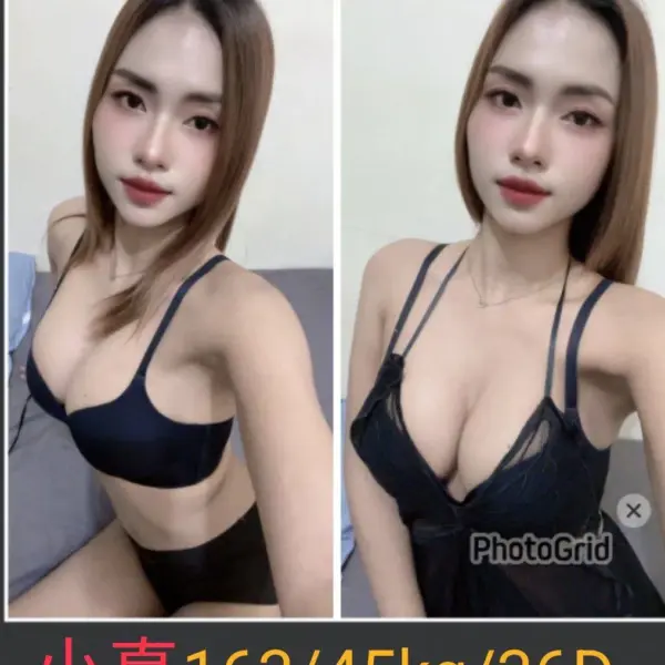 南投定點茶-小真