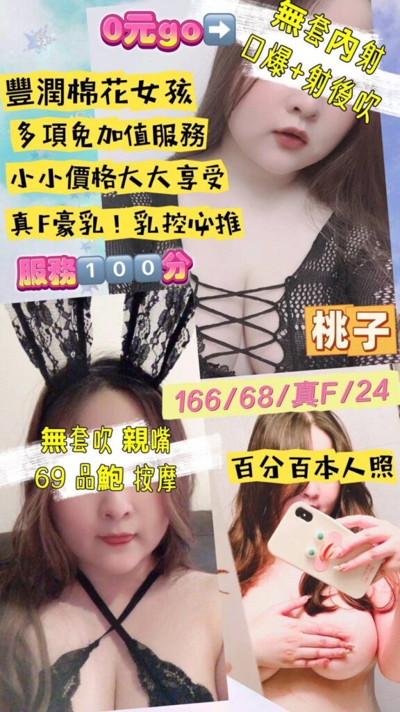 桃園全套 相關示意圖